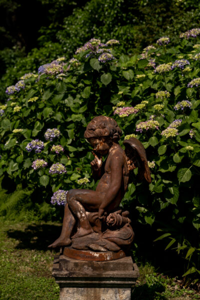 @credit Raphael Metivet-75